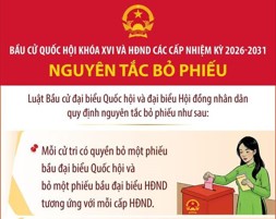 Nguyên tắc bỏ phiếu